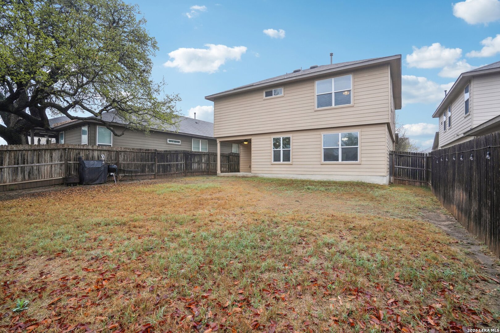 15142 Cinnamon Teal