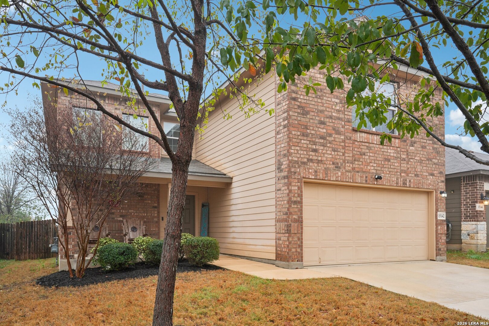15142 Cinnamon Teal