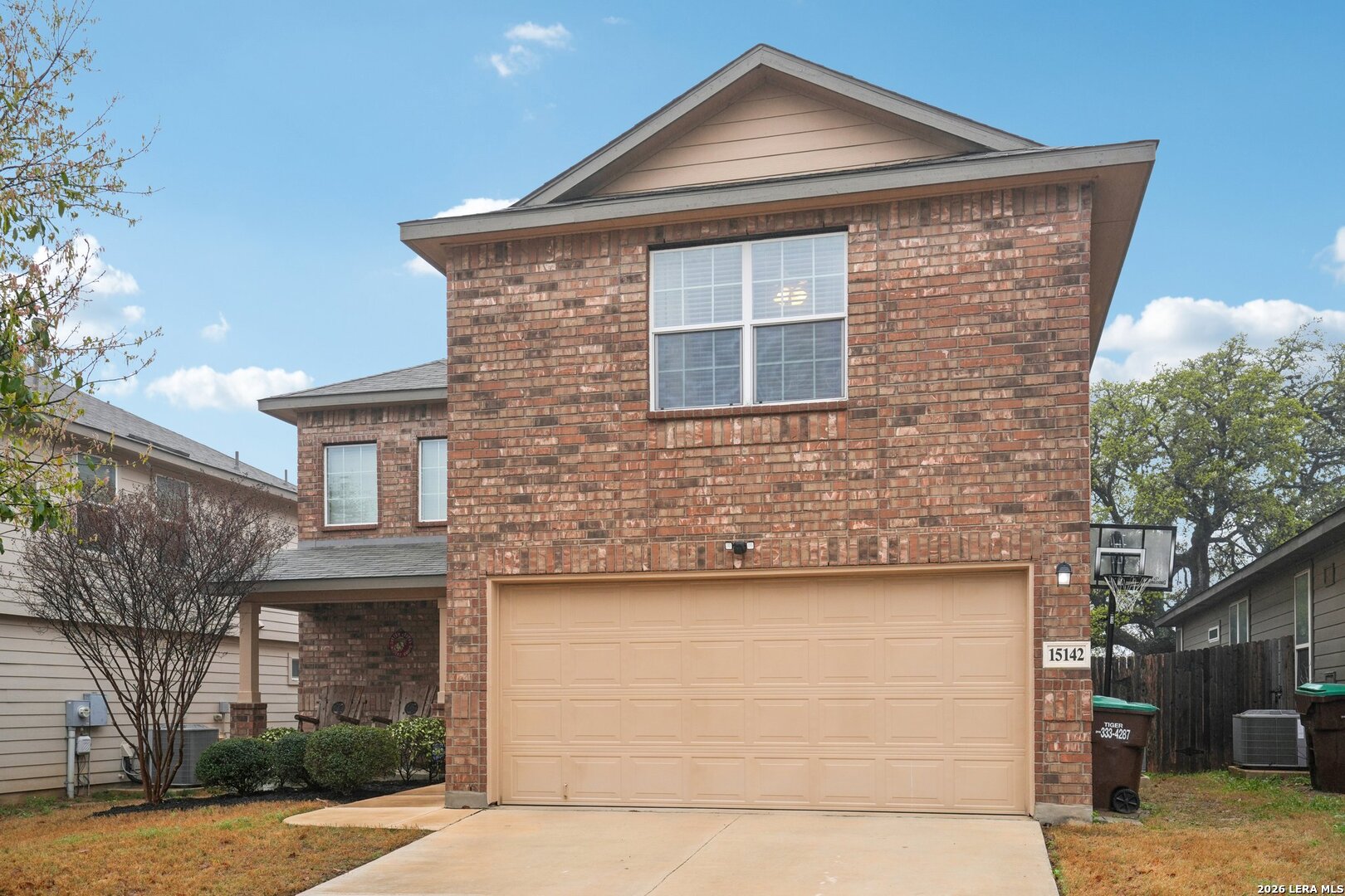 15142 Cinnamon Teal