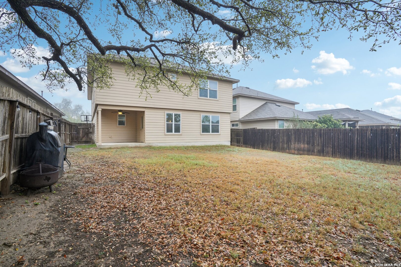 15142 Cinnamon Teal