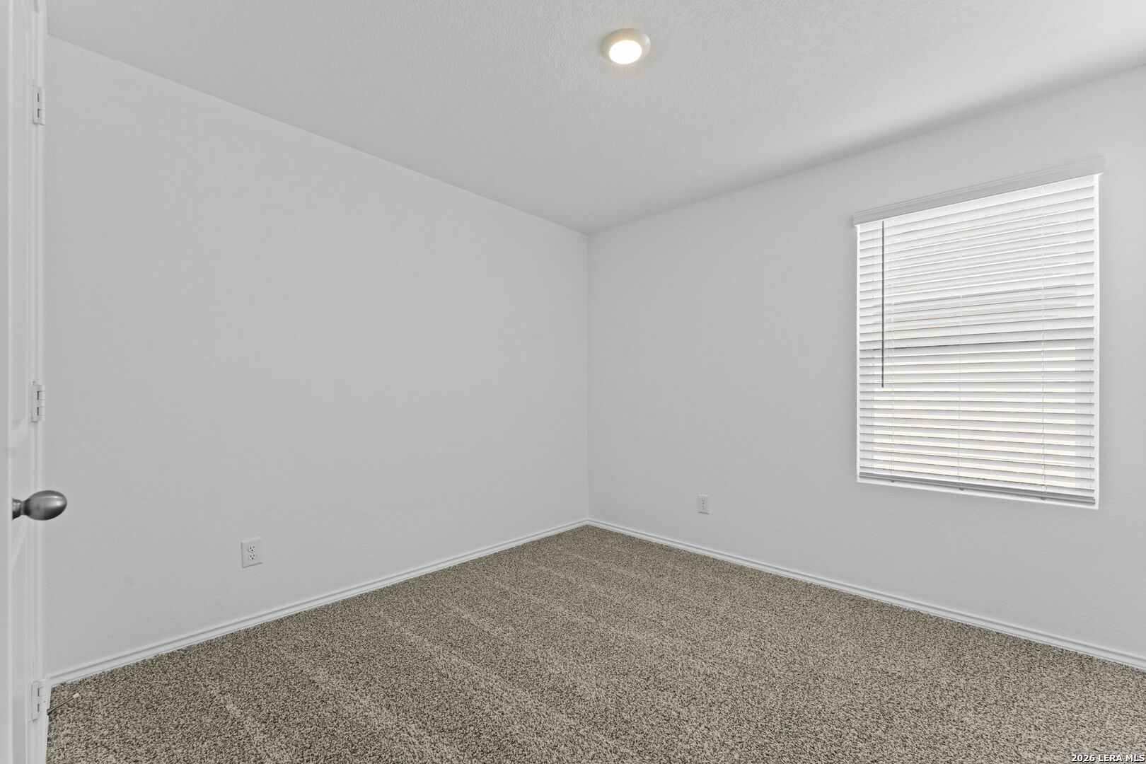 15507 Mint Patch Meadow