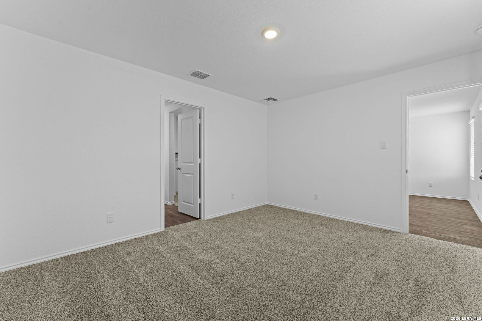 15507 Mint Patch Meadow