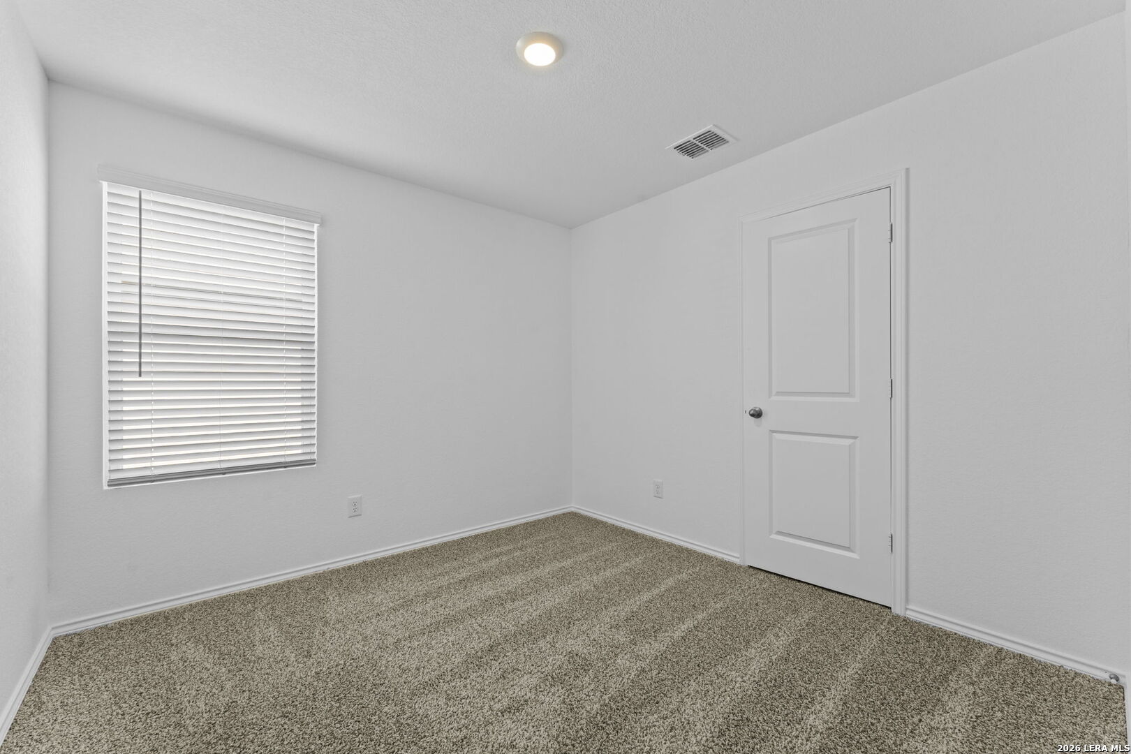 15507 Mint Patch Meadow