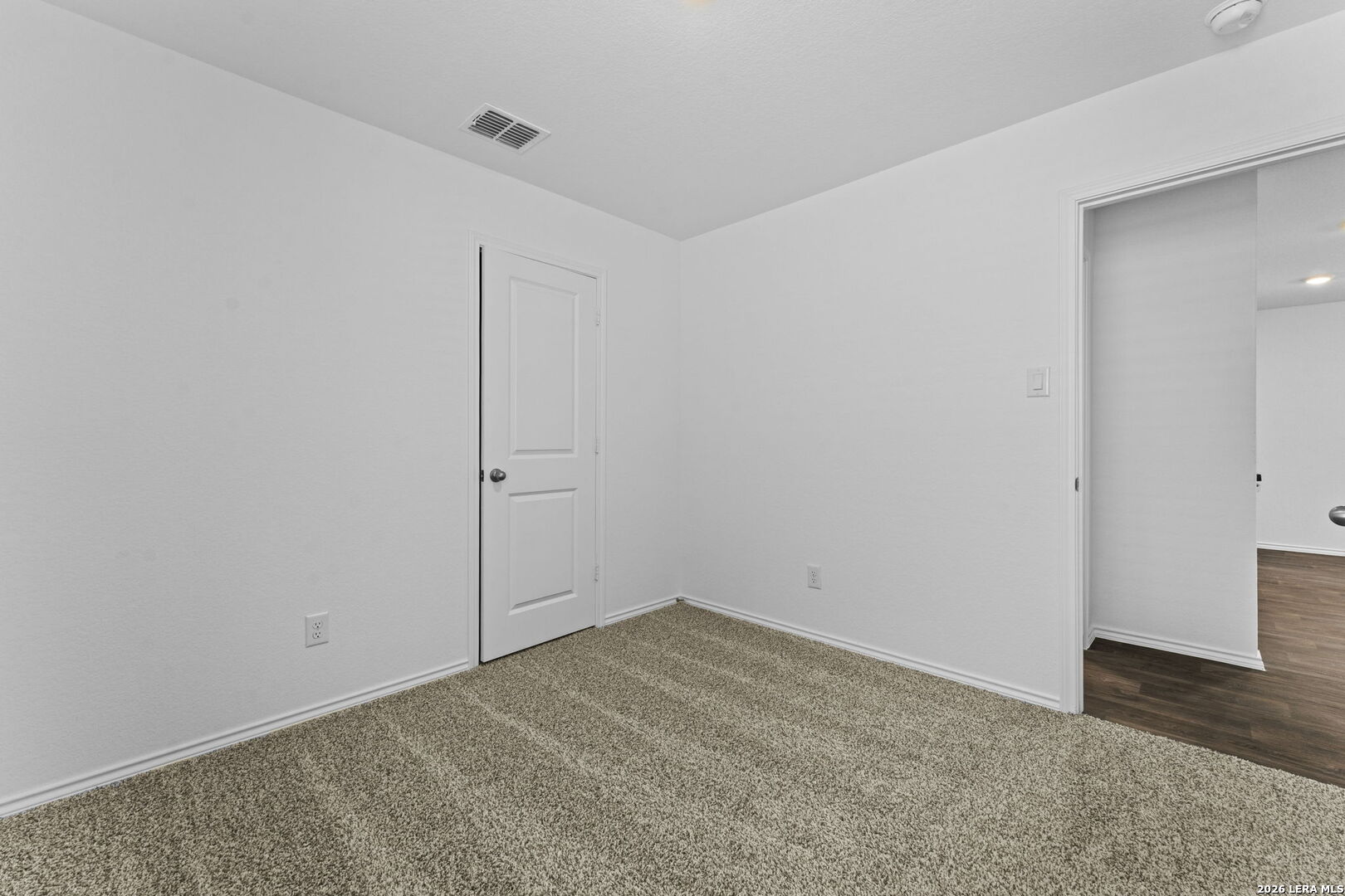 15507 Mint Patch Meadow