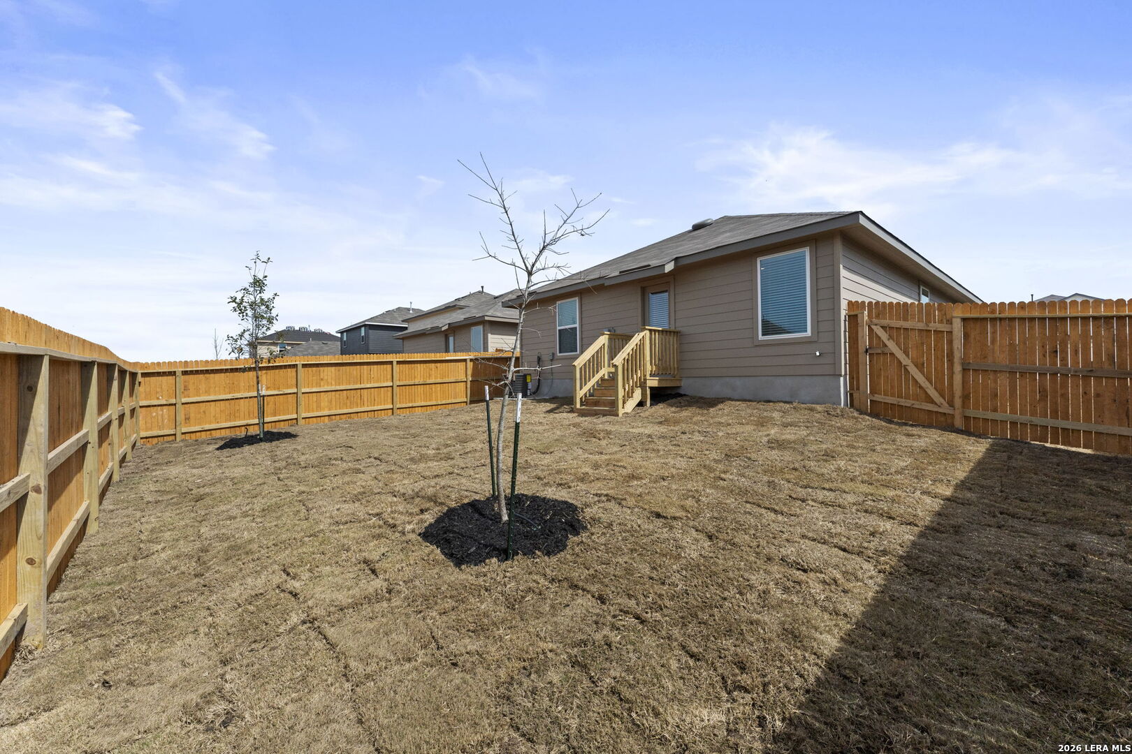 15507 Mint Patch Meadow