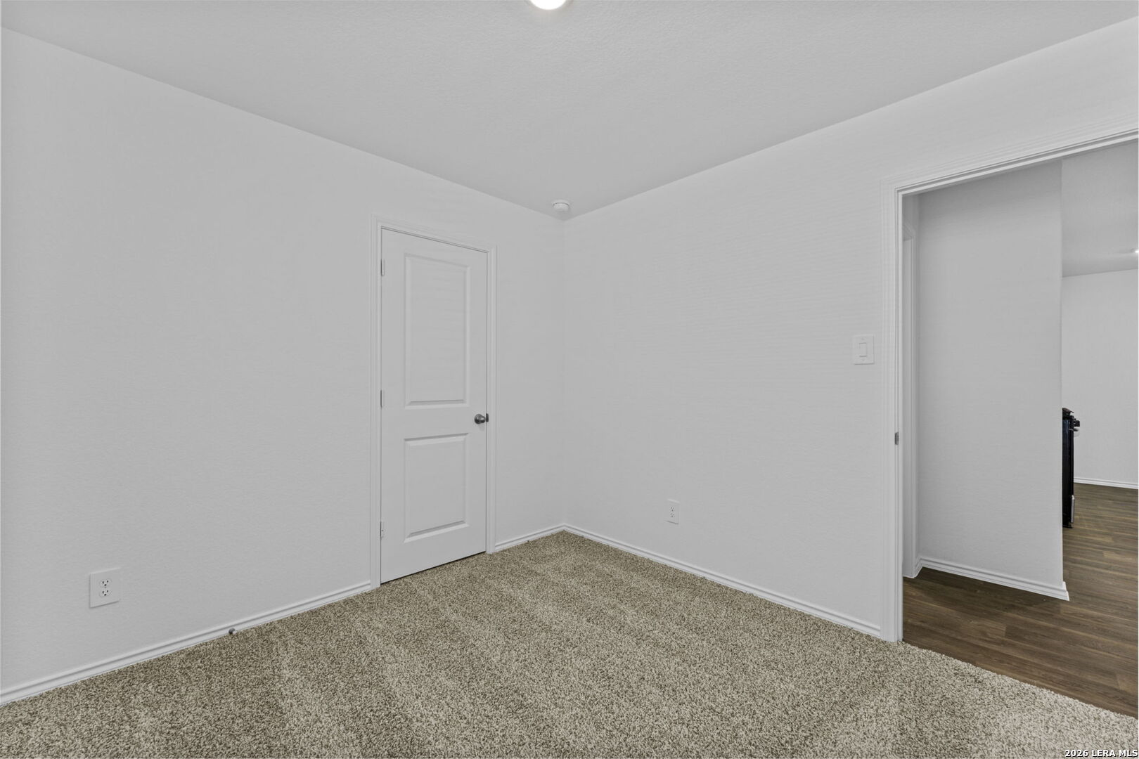 15427 Mint Patch Meadow