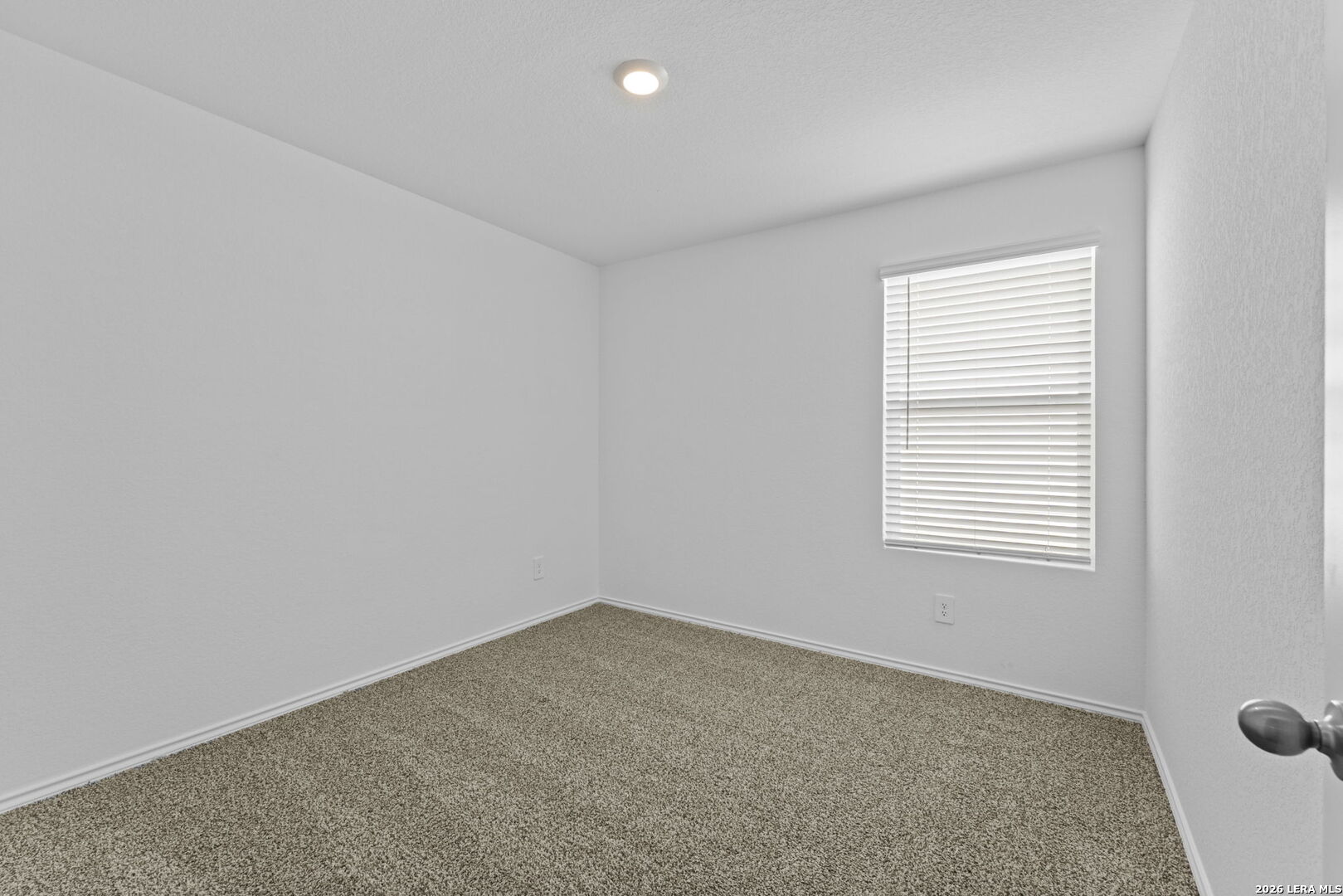 15427 Mint Patch Meadow