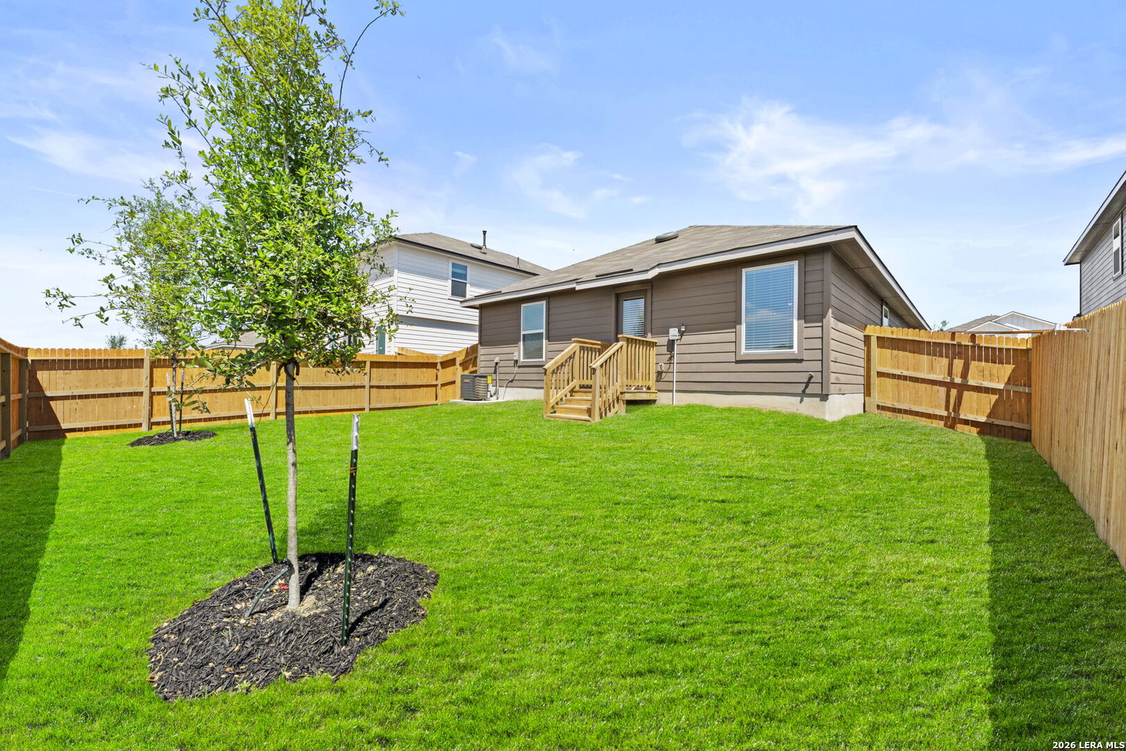 15427 Mint Patch Meadow
