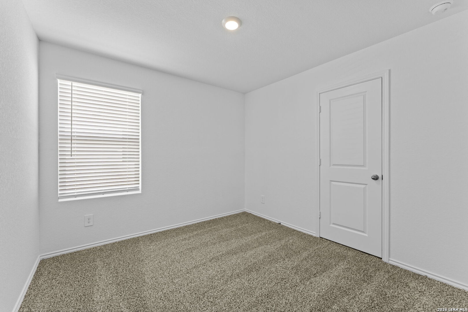 15427 Mint Patch Meadow