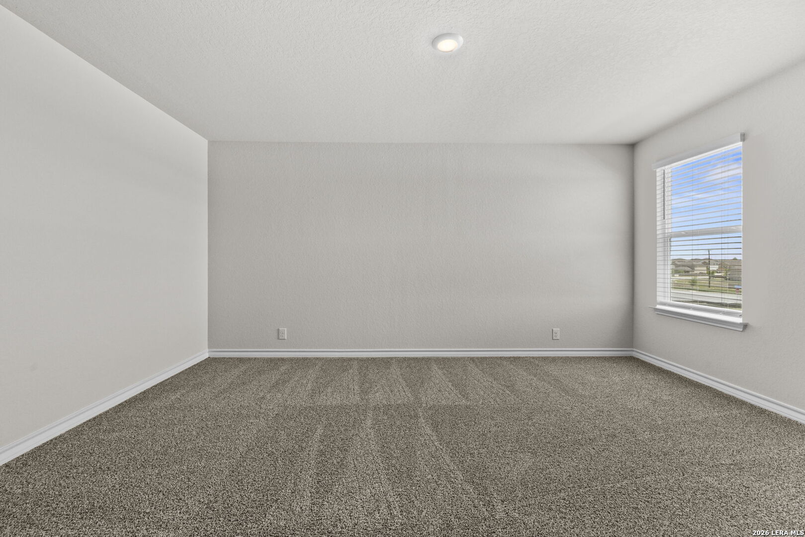 110 Tawny Owl