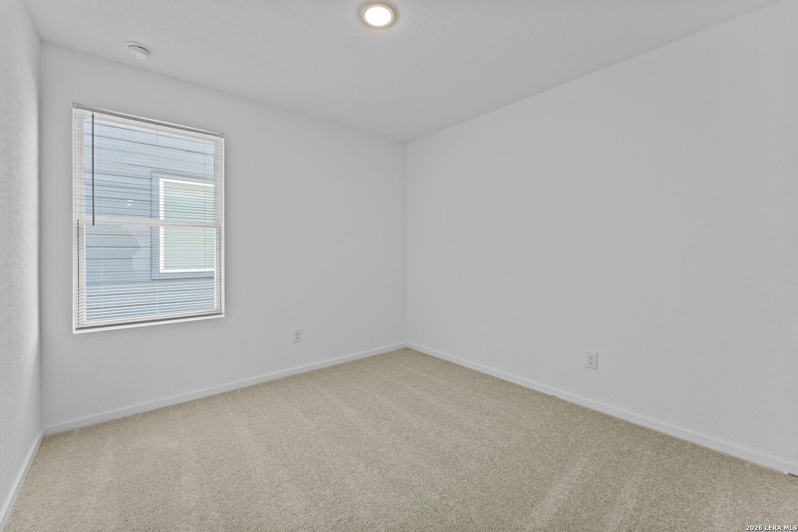 2407 Vireo Way