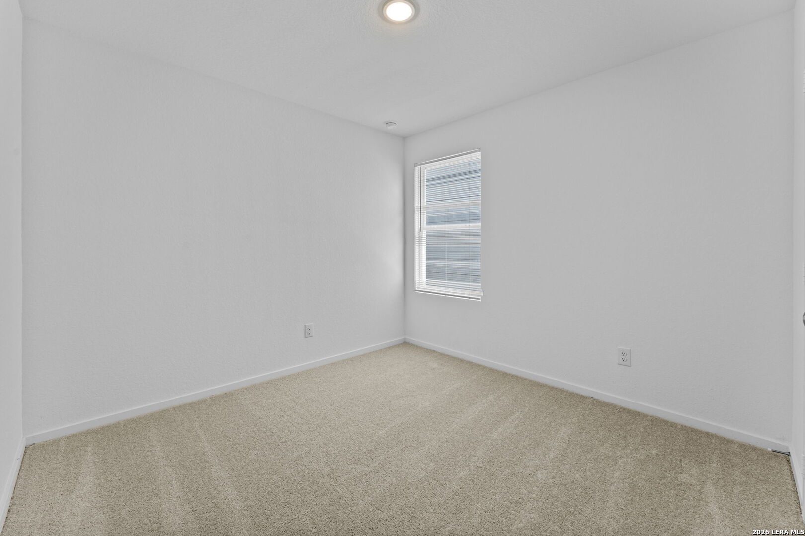 2407 Vireo Way