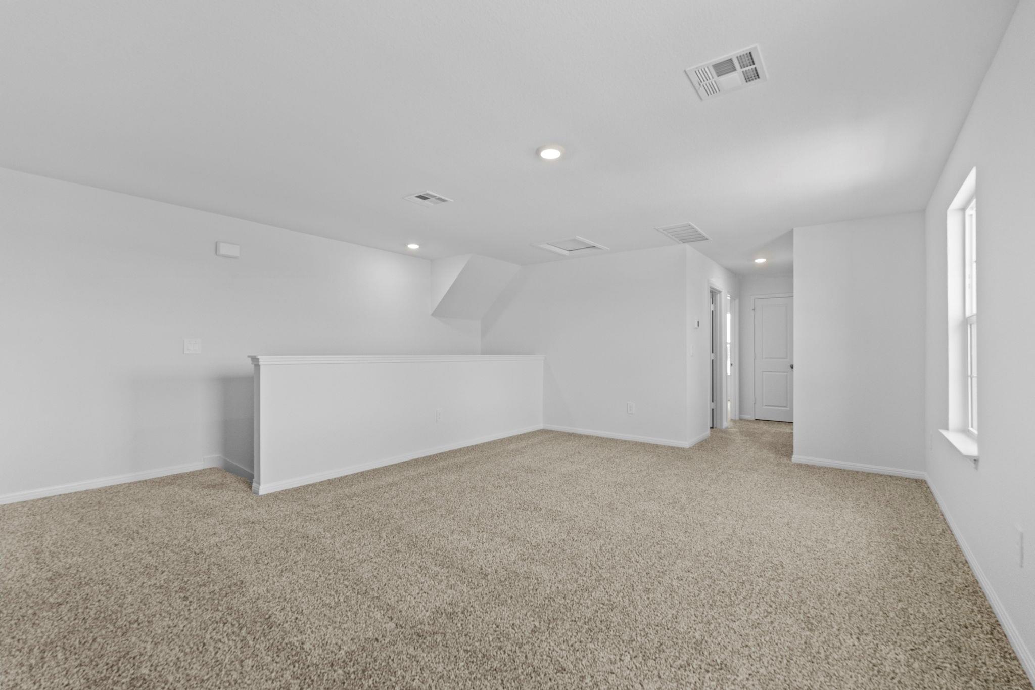 1813 Dandy Brush DR
