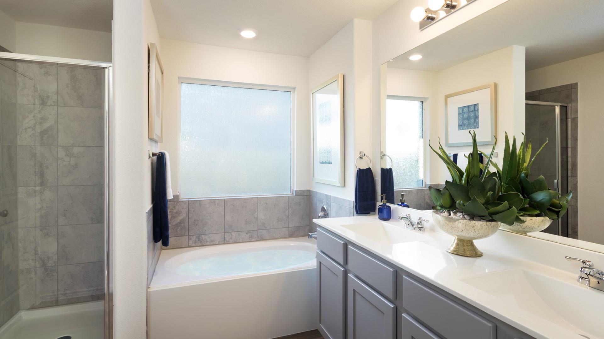 17816 Indigo Bunting LN