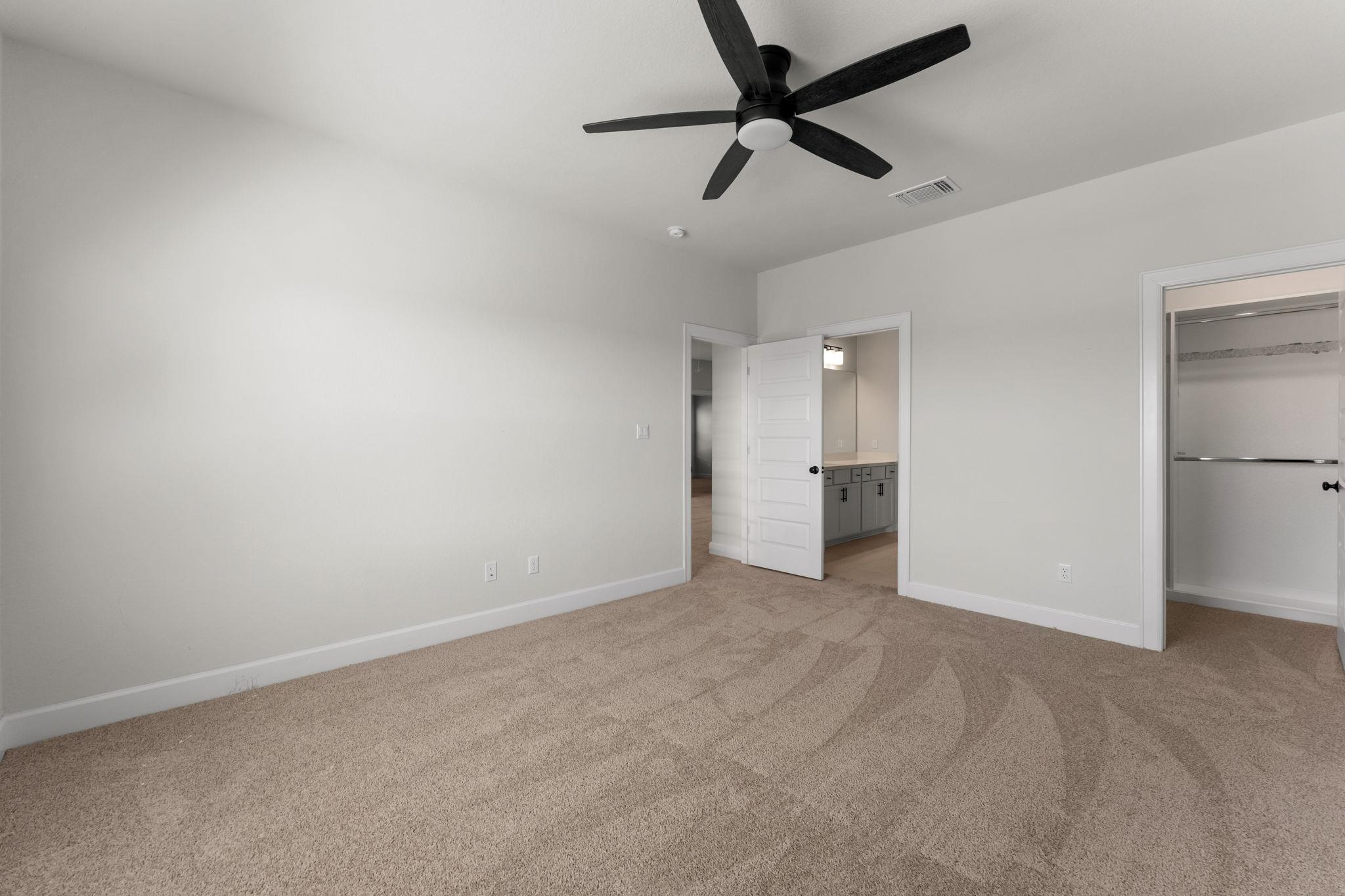 202 Blue Jasmine TRL