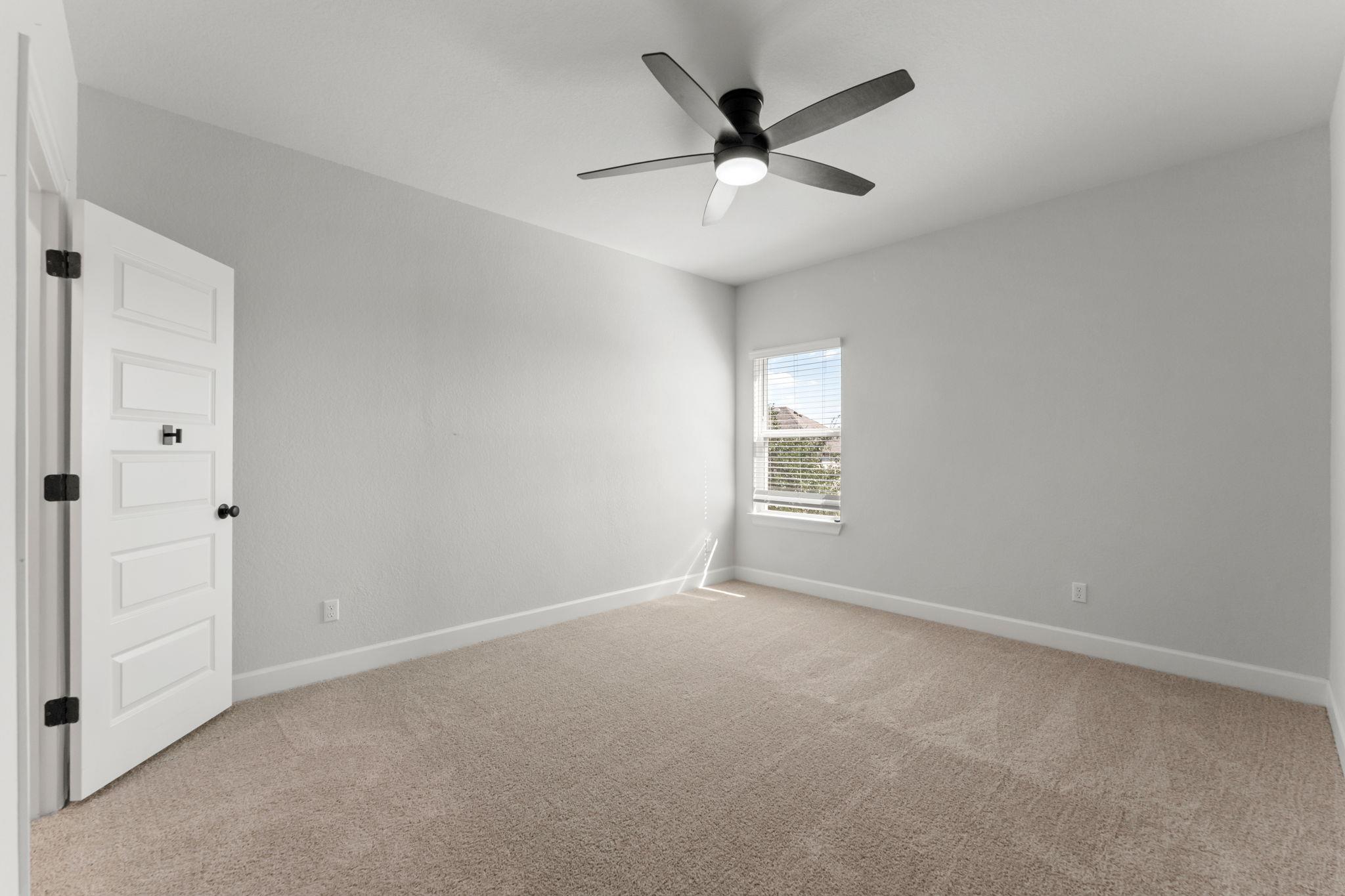 202 Blue Jasmine TRL