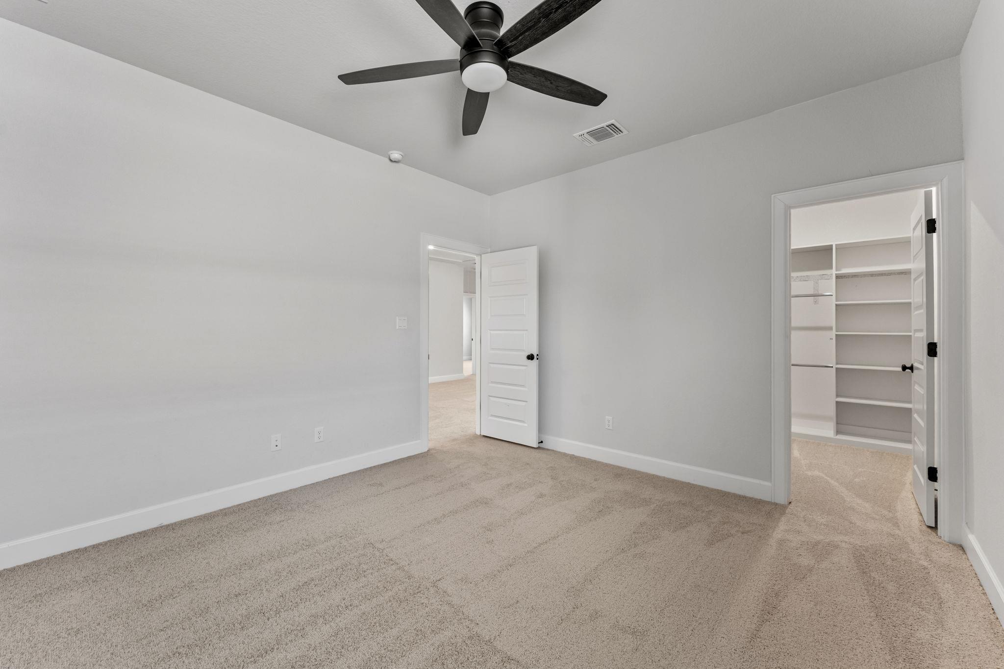 202 Blue Jasmine TRL
