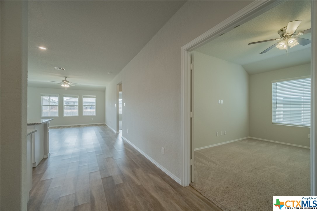 487 Mallow Drive