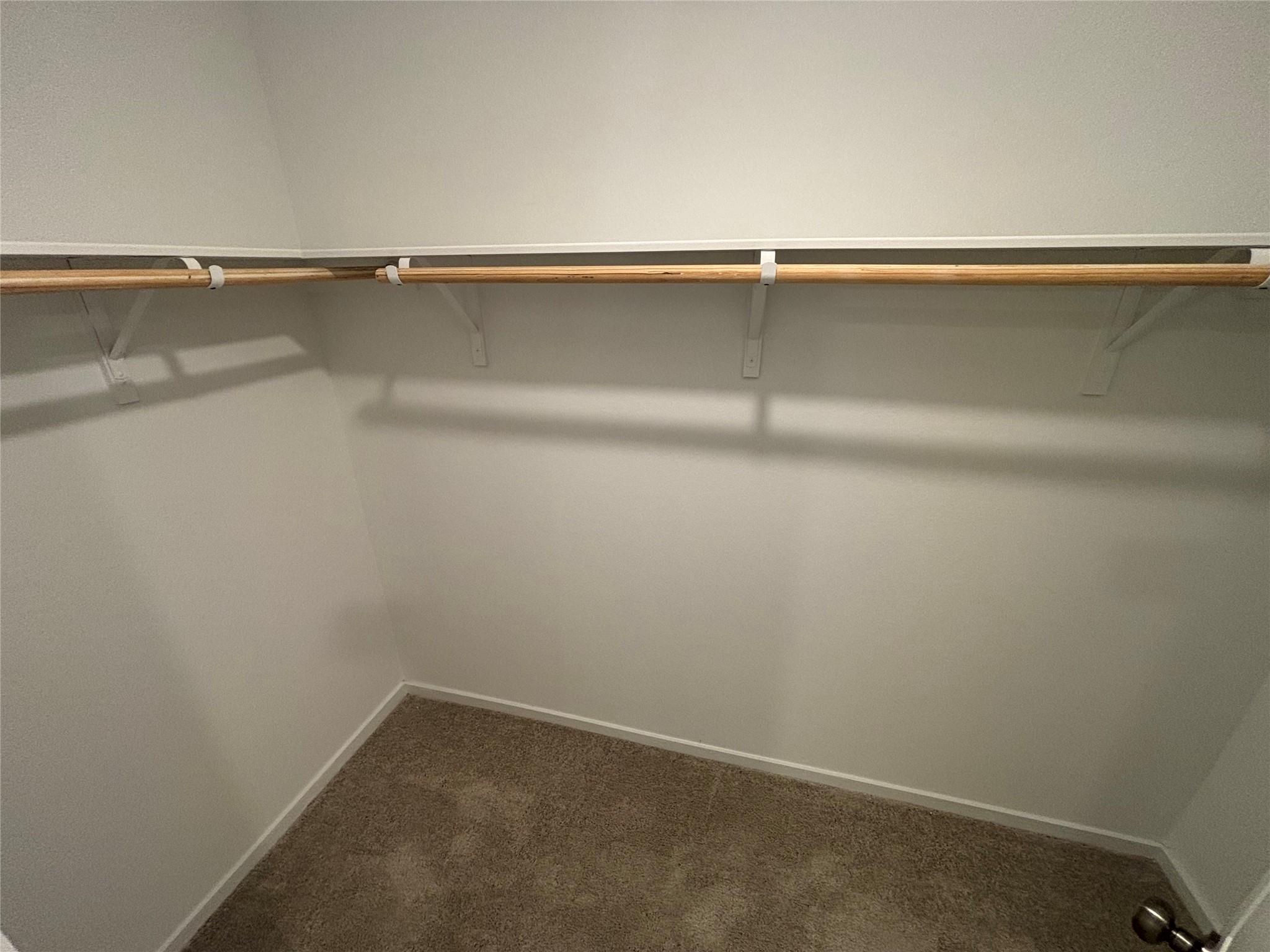 137 Spotbill CT