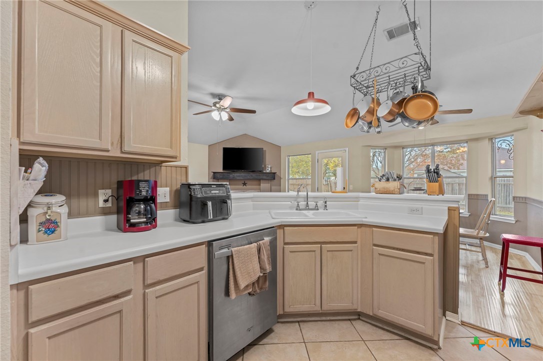 217 Sunshadow Drive