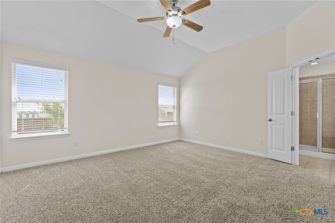 185 silver maple
