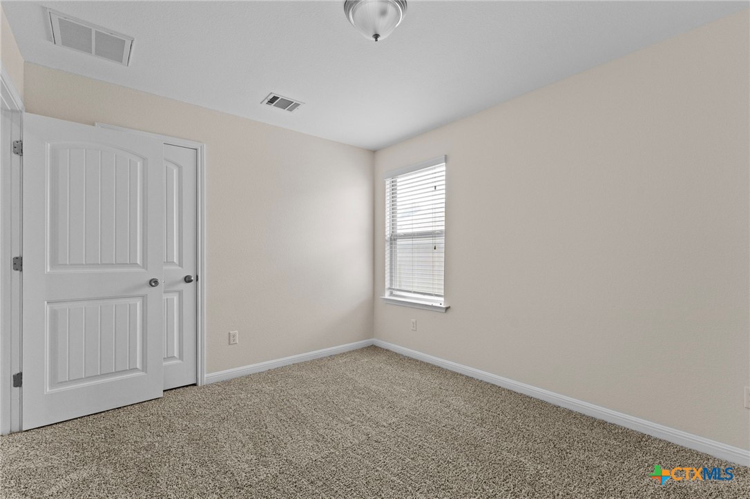 185 silver maple