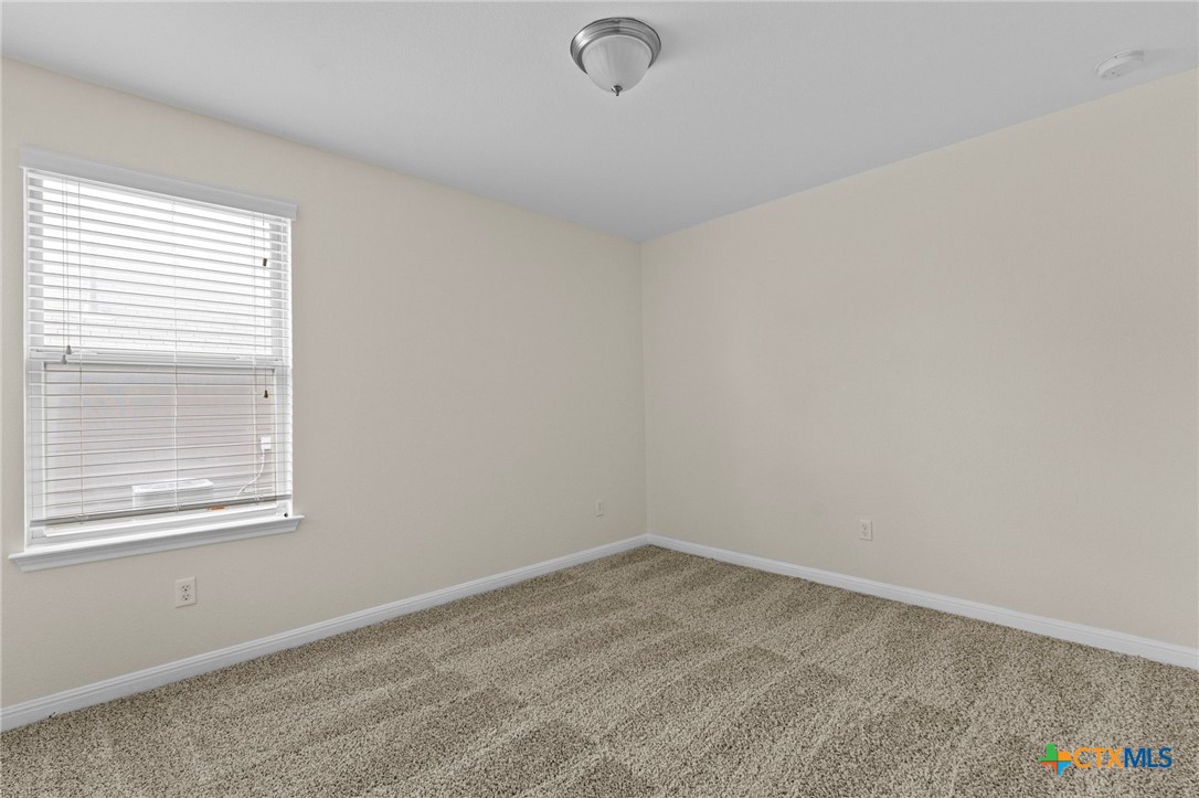 185 silver maple