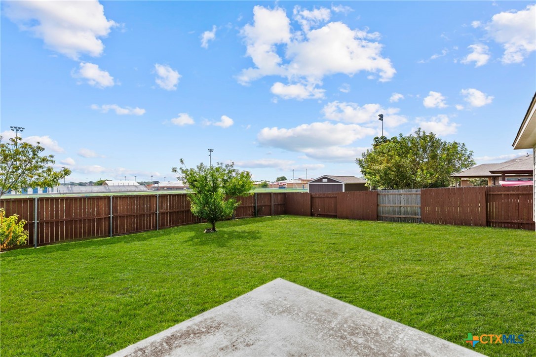 185 silver maple