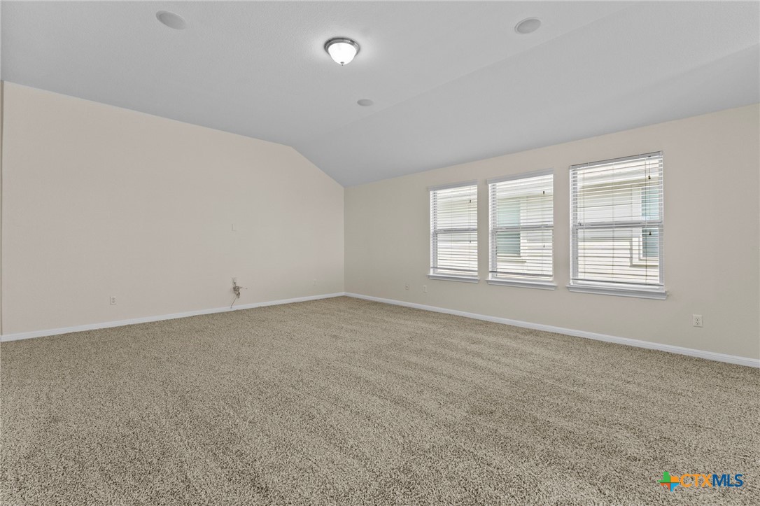 185 silver maple