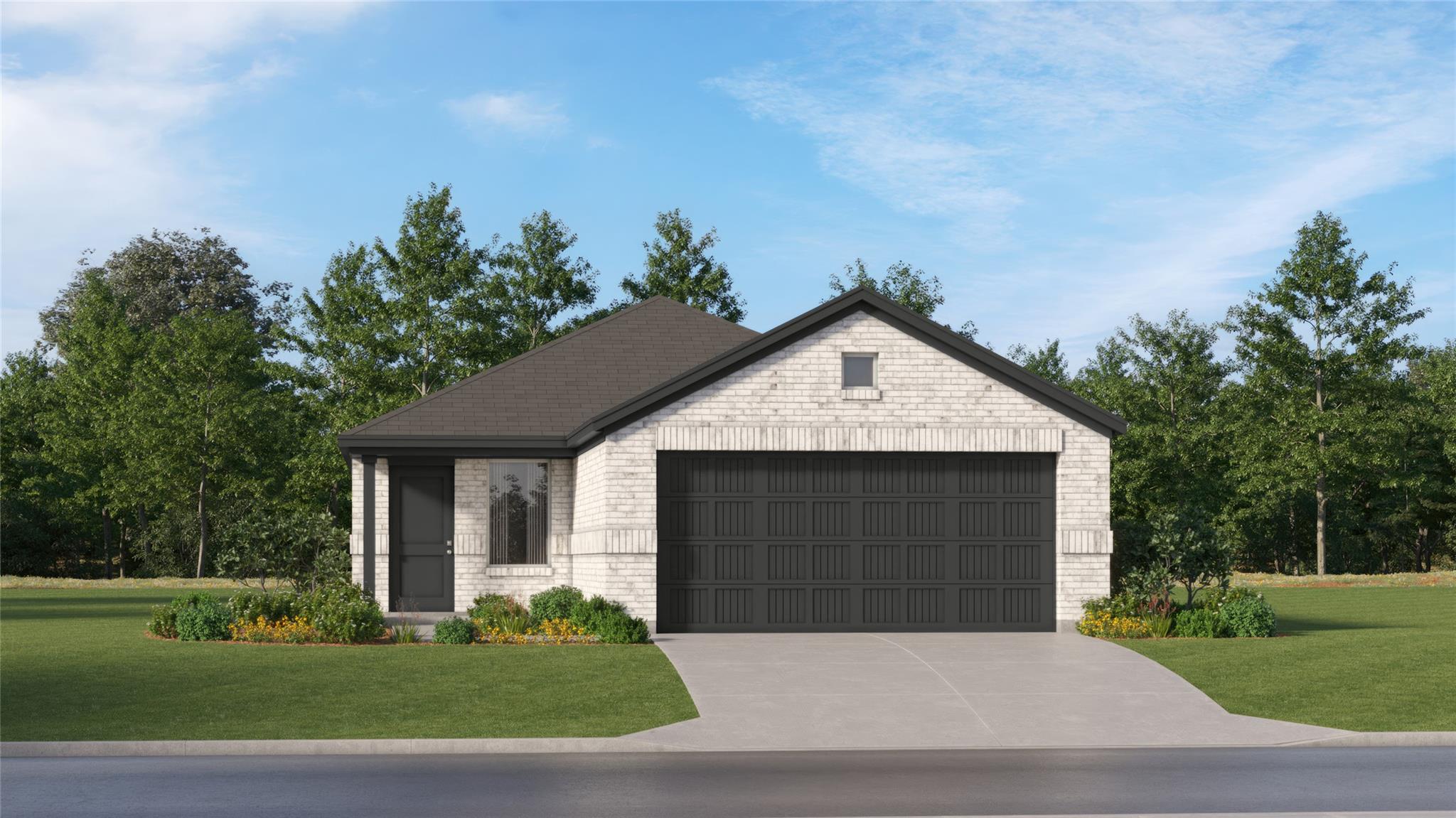 153 Starpacker LN