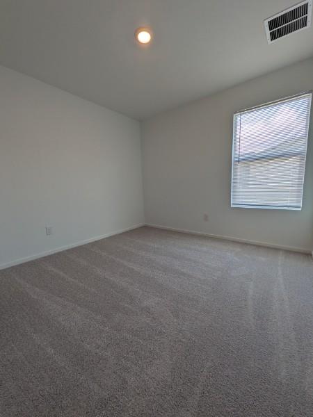 161 Star Packer LN