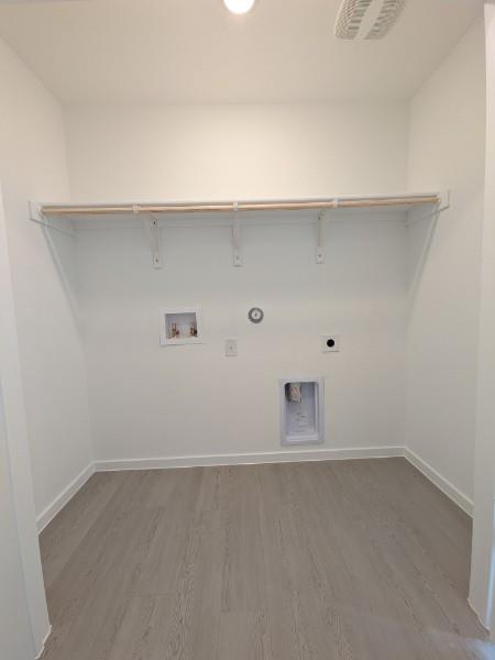 161 Star Packer LN