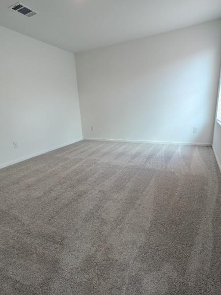 161 Star Packer LN