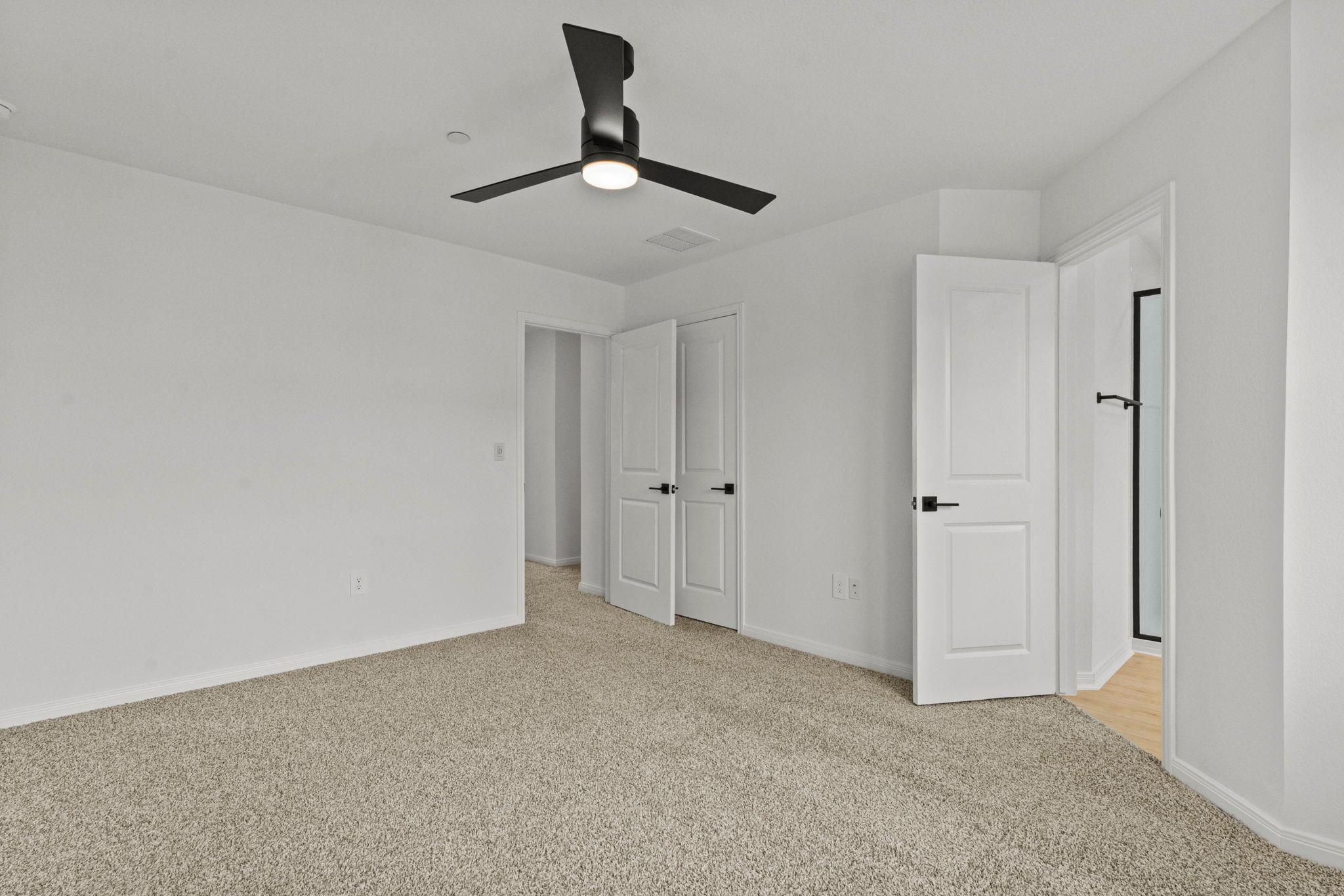 2535 Violet Theo LN