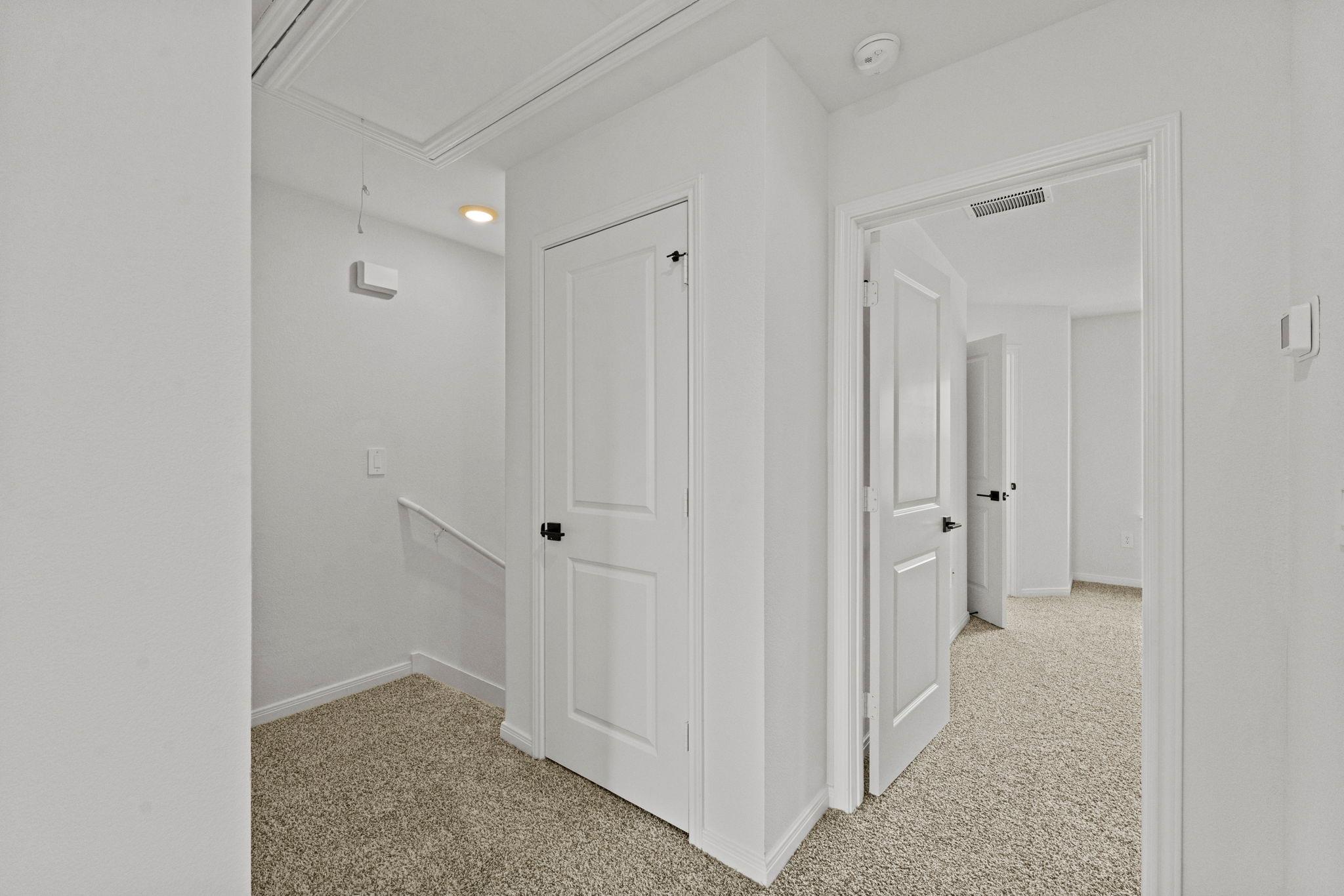 2535 Violet Theo LN