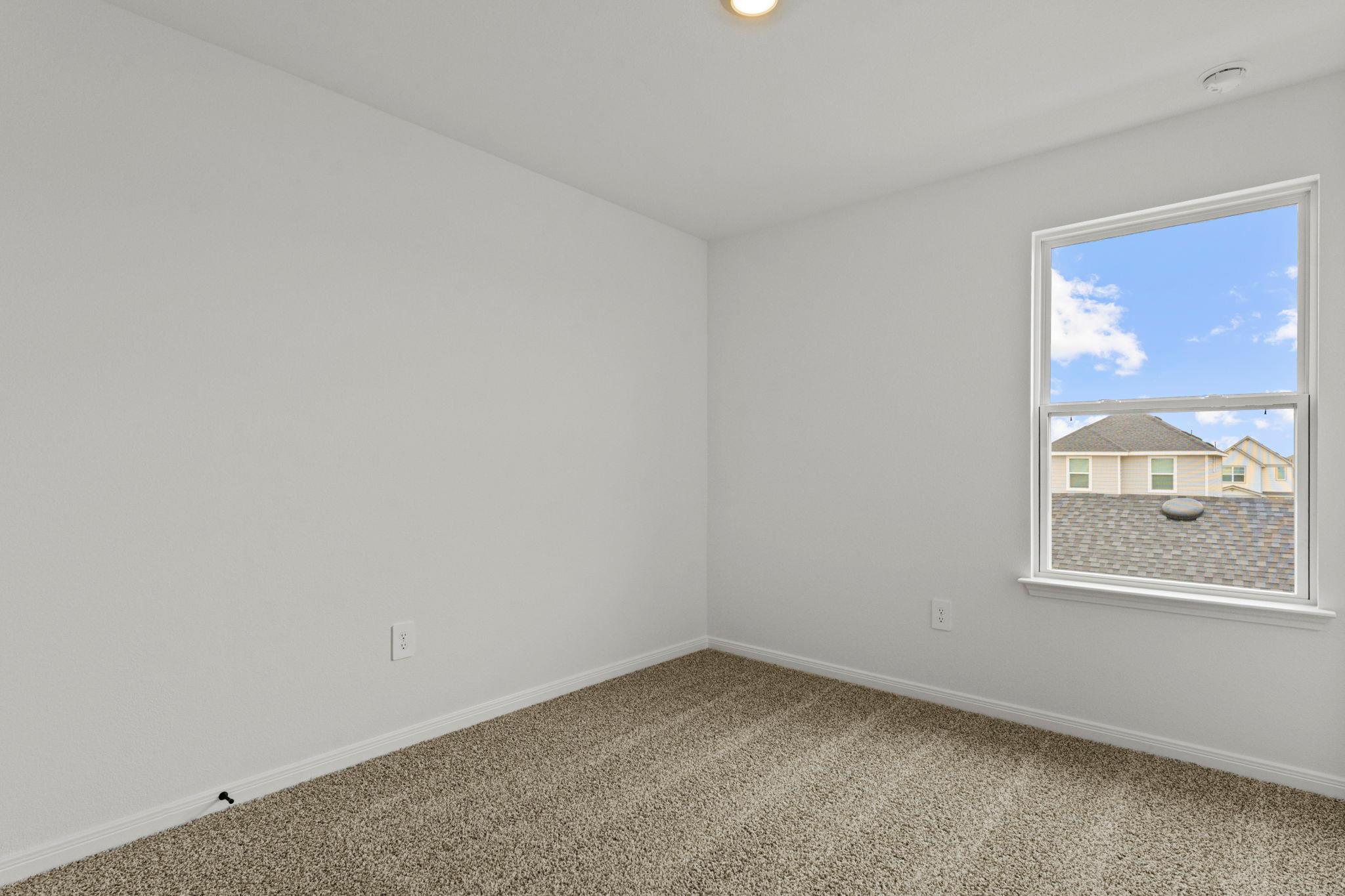 2535 Violet Theo LN