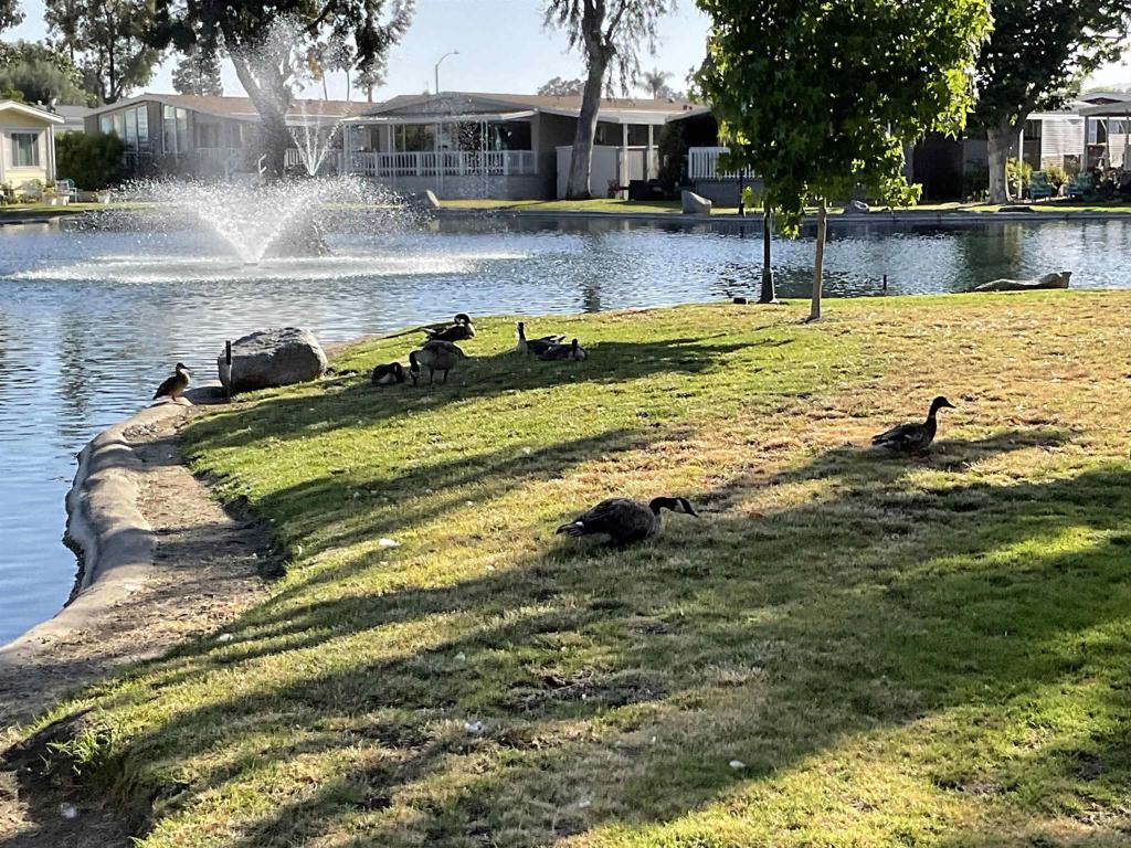 276 N El Camino Real 138