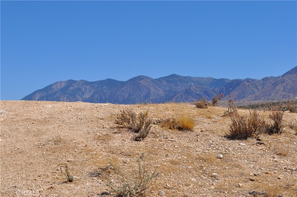 0 VAC/121 STE(PAV)/VIC AVE W