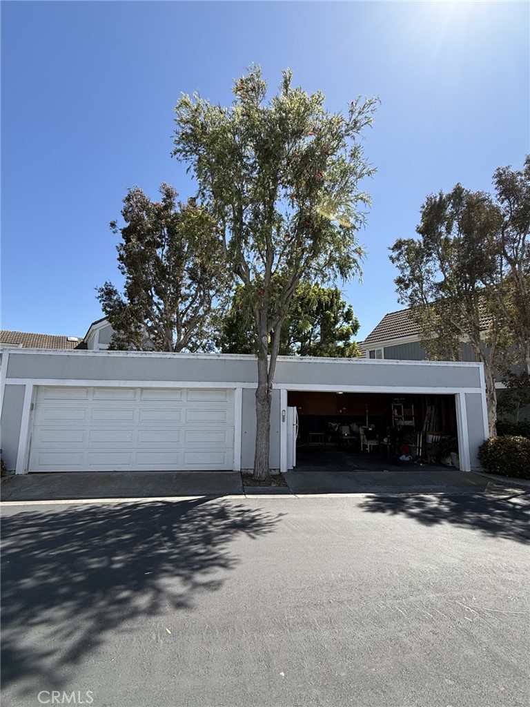3512 Bravata Drive