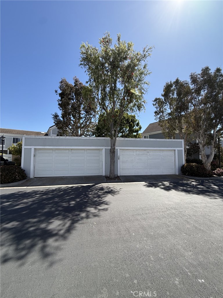 3512 Bravata Drive