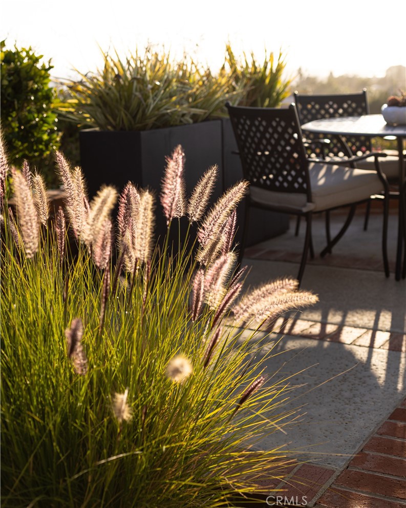 1007 White Sails Way