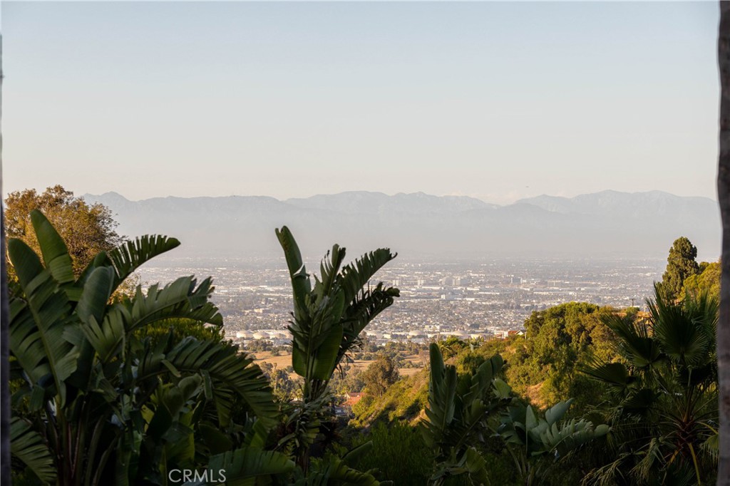 4347 Canyon View Lane