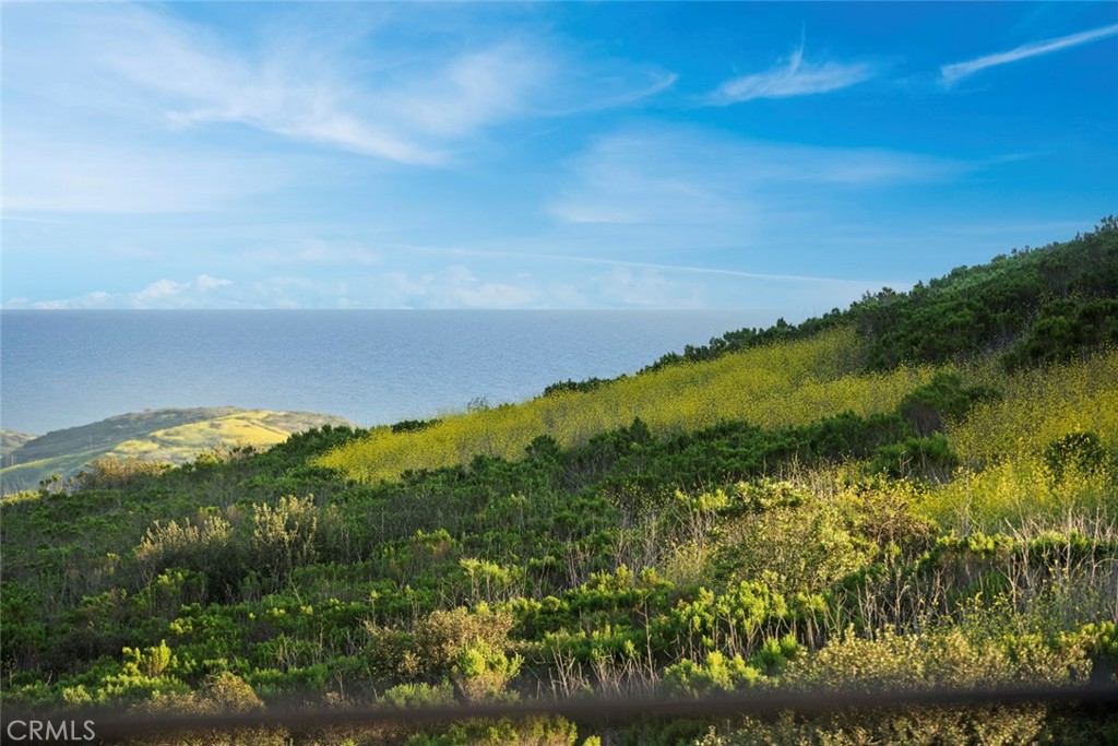 30 Seawatch