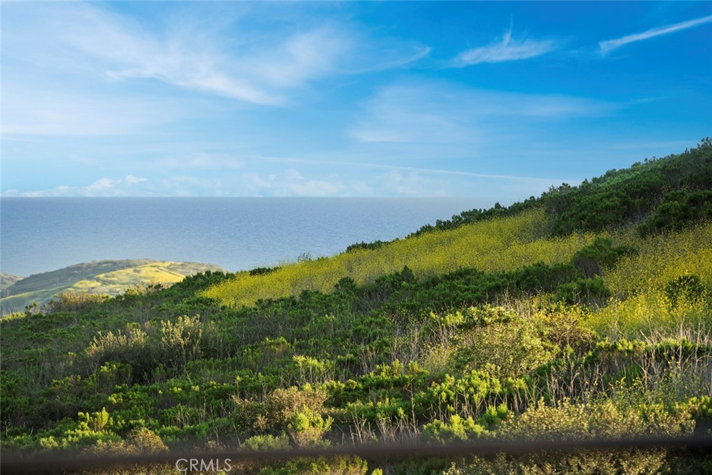 30 Seawatch