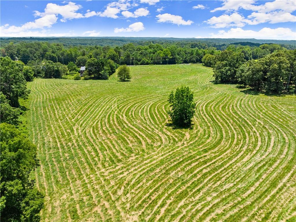 4169 Clarks Bridge Road