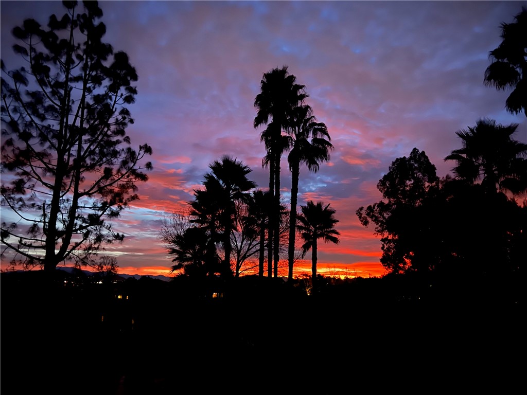 38136 Silver Fox Court