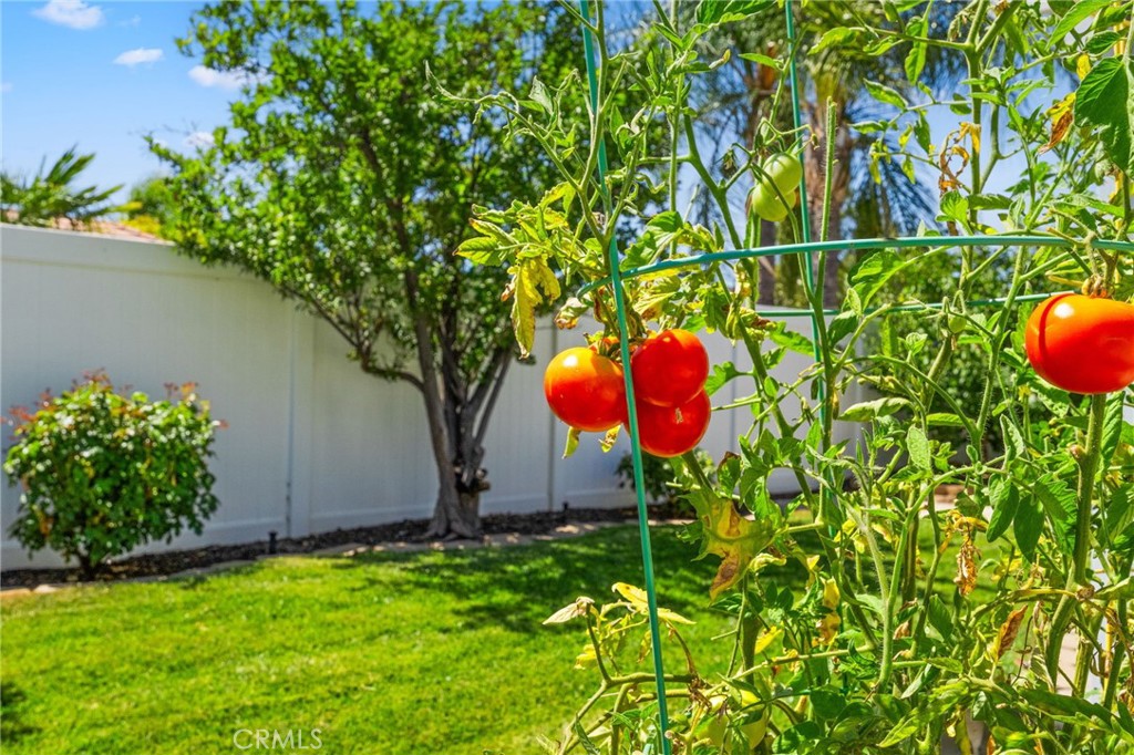 39669 Candy Apple Way