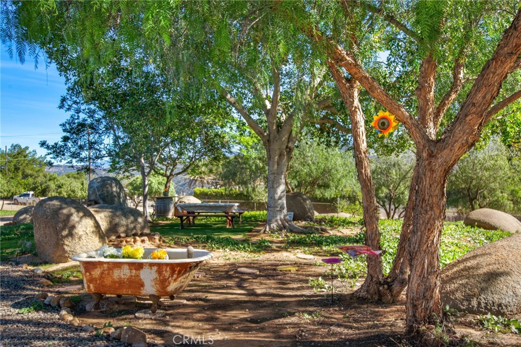 9874 Chocolate Summit