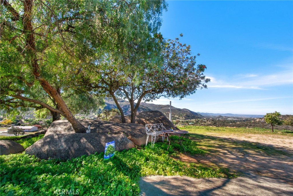 9874 Chocolate Summit