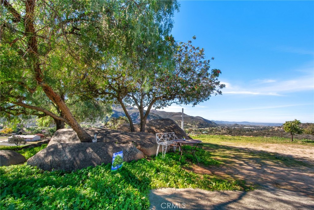 9874 Chocolate Summit